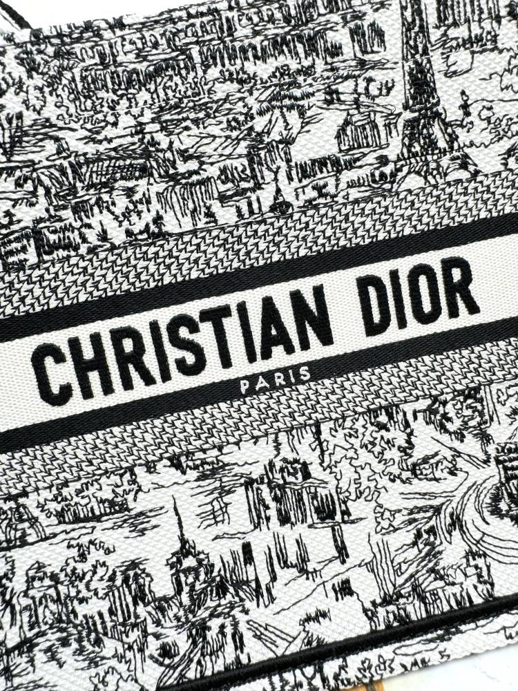 Christian Dior Shopping Bags